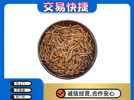 长春市回收散虫草